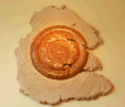 C2141 — Wall Sculpture