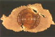 B2135 — Wall Sculpture