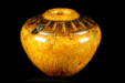 A2050 — Hollow Vessel