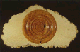 C2144 — Wall Sculpture