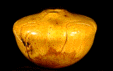 A2005 — Hollow Vessel