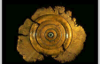 A1042 — Wall Sculpture