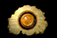 A1183 — Black Scallop II